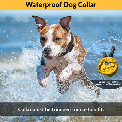 Humane E-Collar Dog Training System with Remote Control, 100 Safe Stimulation Levels, Night Light, Waterproof, Rechargeable, 3/4 Mile Range for Small to Medium Dogs, Yellow